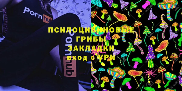 spice Кукмор
