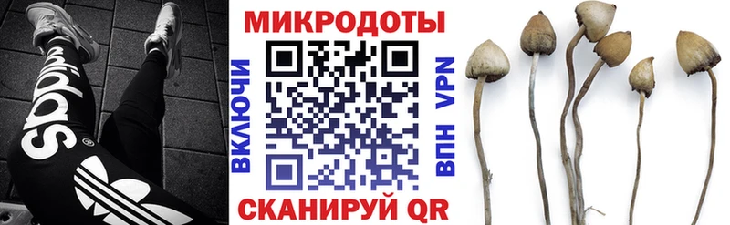 Псилоцибиновые грибы прущие грибы  Тула 